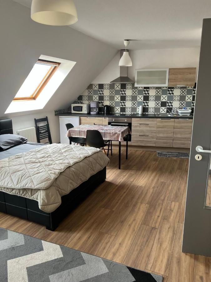 Super Appartement Colmar Centre Exteriör bild
